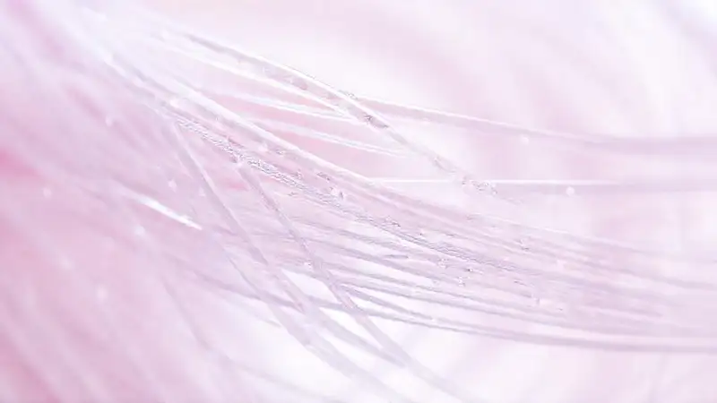 Filamento transparente exhibe diseño moderno vibrante